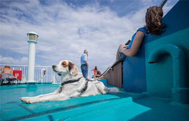 Urlaub mit seinem Vierbeiner ist auch an Bord möglich