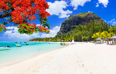 Bilderbuchstrände am türkisblauen Meer auf Mauritius