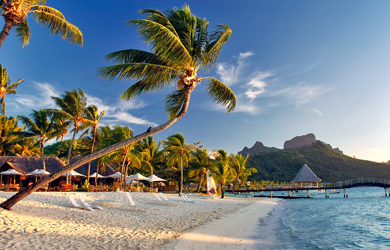 beach and palmtrees