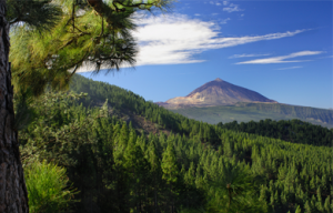 Blick auf den Teide