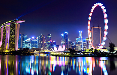 Die Skyline von Singapur mit dem Singapore Flyer bei Nacht 