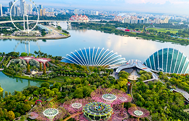 Gardens by the Bay aus der Vogelperspektive