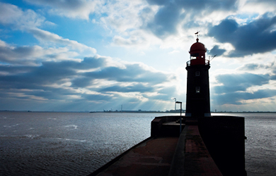 Viele Kreuzfahrtschiffe laufen Bremerhaven an