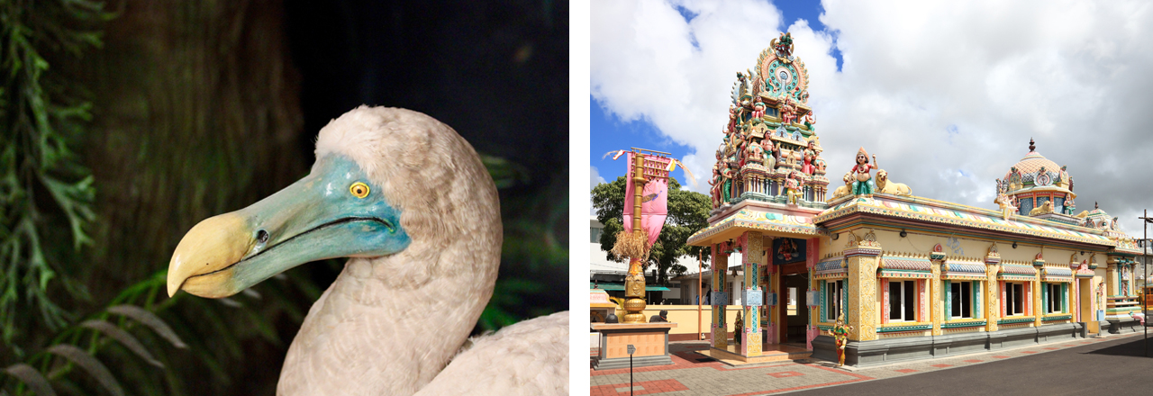 Naturkundemuseum, Port Louis