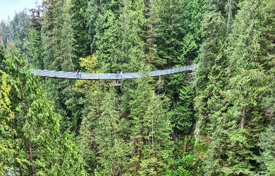 Die Capilano Suspension Bridge