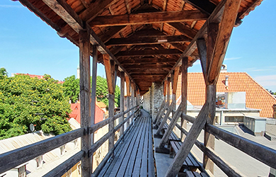 Alte Stadtmauer in Tallinn, Estland